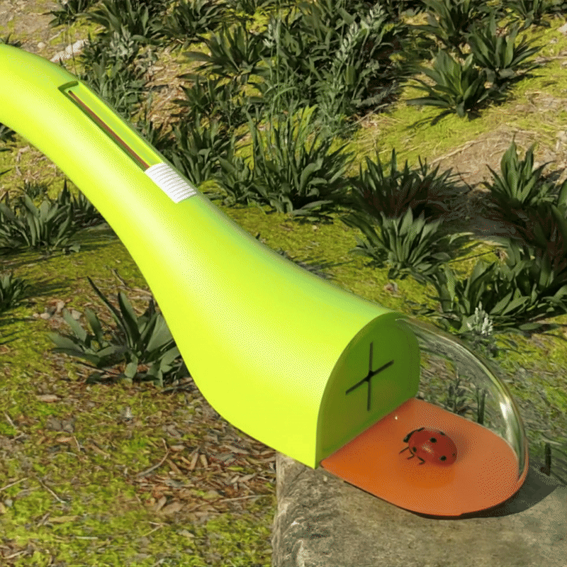 BugView ™ – Safe and Humane Bug Catcher with 5x Magnifier