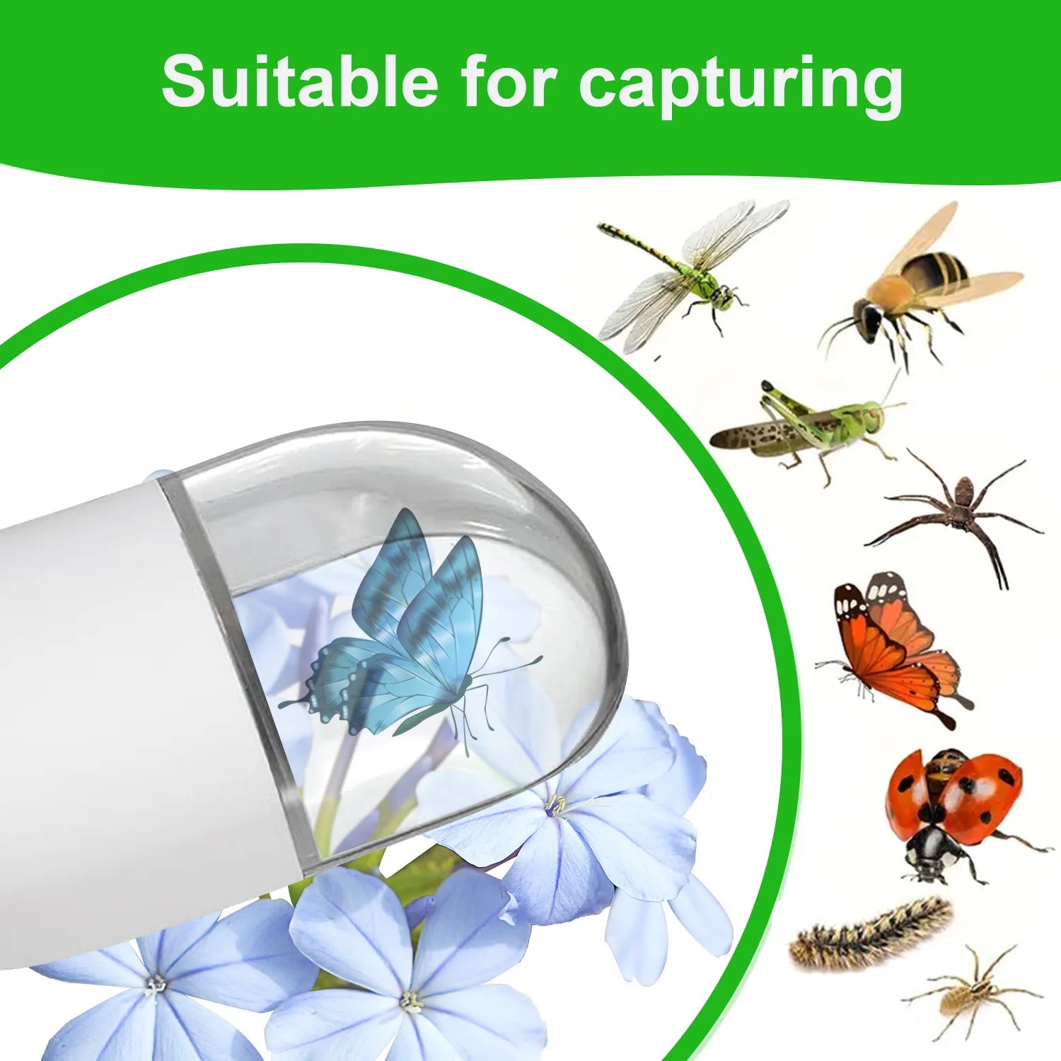 BugView ™ – Safe and Humane Bug Catcher with 5x Magnifier